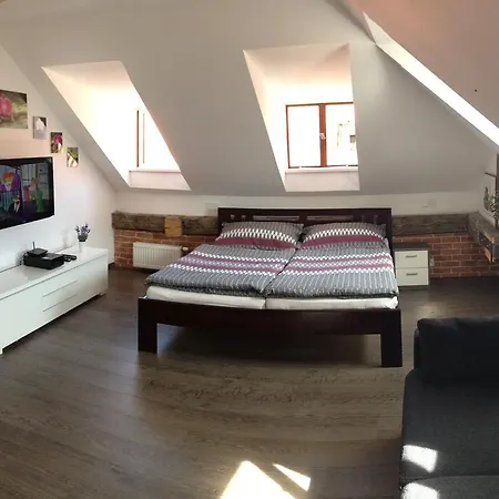 Agnes - Apartments פראג